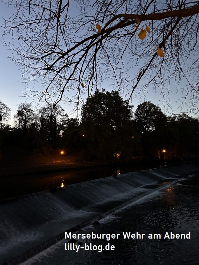 Merseburger Bilder von Lilly